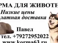 Корма и наполнители для собак и кошек