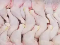 Мясо говядины и  мясо куриное оптовые поставки