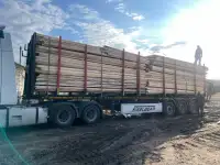 Доска обрезная Сорт 1-2 из Сухостоя 50х150х6000, фотография 5