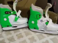 Коньки