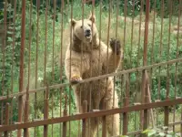 Паломничество в горную Адыгею., фотография 6