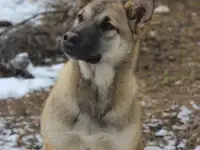 Ютта ищет любящую семью!