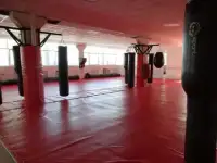 Борцовский ковер, стеновые протекторы, маты..., фотография 7