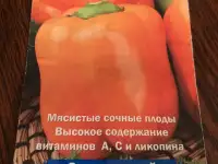 Рассада помидоров и перца, фотография 7