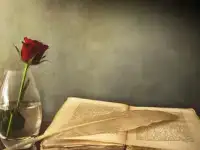 Пишу текст любого содержания