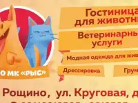 Груминг, стрижки животных в Рощино 