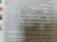 Книга Энциклопедия Кошки. Джино Пуньетти., фотография 5