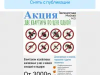 Дезинфекция от клопов, тараканов и разных насекомых