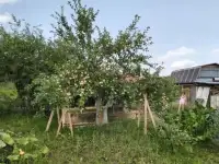 Продается дача ,дом 30кв.м, участок 10сот. 30,00 м2, фотография 12