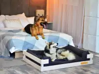 Лежанка для крупных пород деревянная, фотография 2