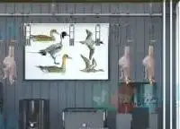 Технологическая Линия убоя для утки