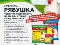 Премиксы Рябушка – залог высокой яйценоскости!