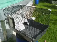 Клетка