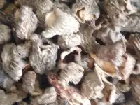 Сморчок