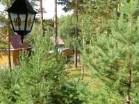 Сдам дачу в деревне Раковичи, Лужский район, Ленинградская область, фотография 3