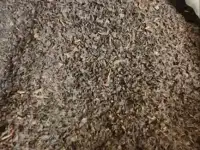 Черный Листовой Чай, 2500 г, коробка, Рассыпной, Крепкий, Весовой, Тонизирующий, Натуральный, оптом, Black Tea, фотография 5