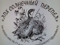 Перепела,мясо перепелов.