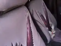 ВАЗ 21150