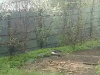 Жилой дом, пер. Гвардейский, фотография 6