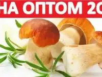 ᐉ 2017 БЕЛЫЕ ГРИБЫ СУШЁНЫЕ Лисички Оптом? Купить Сморчки Свежие Цена Экспорт