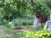 Продам дачу, Красноглинский район, п.Козелки, участок 659. 7,00 м2, фотография 8
