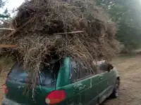 Водитель Daewoo Matiz, фотография 2