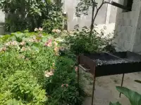 Отдых в Абхазии. Частный сектор 