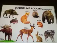 Развивающие плакаты, фотография 2