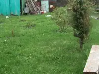 Продается участок, СНТ Поречье, фотография 8