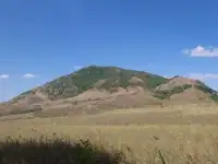 Геолог