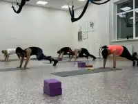 Студия растяжки и фитнеса LAVIEFIT, фотография 8