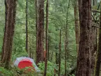 палатка Big Agnes Bird Beak SL2 новая. Внешний каркас.  полный вес: 2.1 кг., фотография 8