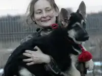 Восточноевропейская овчарка