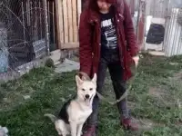 Марточка ищет дом, фотография 2