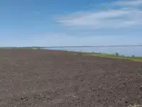 продам, Самарская область, Шигонский район, село Актуши,