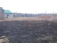Земельный участок 10 соток (ЛПХ) в Посохова