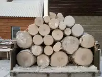 Дрова берёзовые., фотография 2