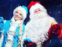 Дед Мороз и Снегурочка на дом!