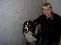 Алабай - кобели для вязок. Инструктор по вязкам . Осеменение. Роды.С-П и Лен. обл., фотография 4