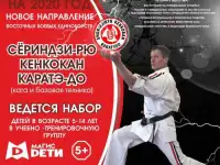 тренировки по Сёриндзи-Рю Кенкокан каратэ-до в Магис-Спорт для детей и подростков, фотография 2