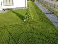 Газон под ключ