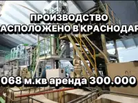Топ завод. 135 млн выручка в год. 2 млн прибыли, фотография 3