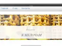 Разработка, создание сайтов, фотография 3
