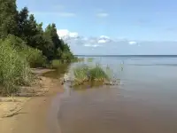 массив на Ладожском озере под коттеджный поселок, Ленинградскaя облaсть, Вceволожский paйoн, Рахьинское СП, фотография 2