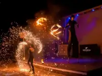 Лучшее Огненное (фаер) шоу, Аниматоры и Ходулисты, Живые Статуи на праздник