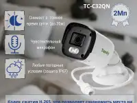Камера IP Tiandy TC-C321N