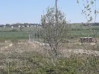 Новый КП