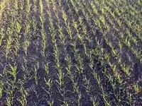 Продам коммерческую недвижимость