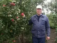 Саженцы в Уфе
