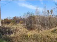 Продам земельный участок, СНТ, фотография 2